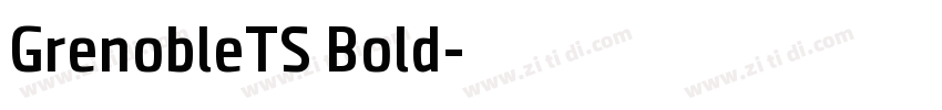 GrenobleTS Bold字体转换